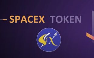 SpaceX Token